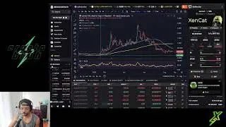 Chill XEN CRYPTO stream -  24K Bitcoin DUMPED - YzY shorts are OD - XNM/XNT last hope 8/25/25