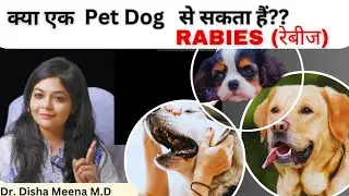 Rabies ( रेबीज) from Pet Dogs 🚫🐶| Is it possible #rabies #dogbite #rabiesawareness