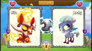NEW BREEDING: Warfare Dragon & Conquest Dragon | DRAGON CITY 😍