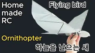 Home made RC flying bird_하늘을 날으는 새_Ornithopter #Ornithopter #Flapping_Wing #Bionic_Bird