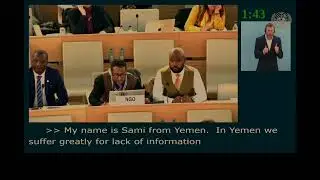 Orel Intervention in 17th session of UN forum on minority issues 2024