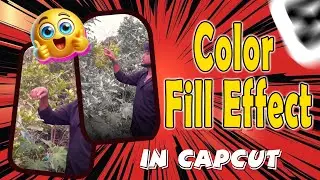 Color Fill Effect in CapCut 🔥 Simple Trick | Tamil Tutorial #capcut #ismayilcutz