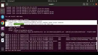 I Will Install Jinkins Related Services Support On Linux