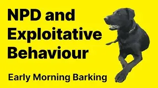 NPD and Exploitative Behaviour | NPD | Narcissistic Personality Disorder