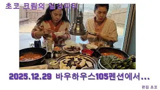 20251229 강원도 홍천 애견독채펜션 추천! 마당 넓은 '바우하우스105' 내돈내산 찐후기 #Hongcheon, #DogPension, #Gangwon-do, #Bauhaus