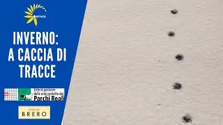 Inverno: a caccia di tracce nel Parco naturale La Mandria
