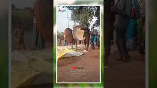 Shanthi nagar 🙏#adiwasi_bands #adivasi #kolamshortvideo#kolami culture#kolami #st kolam creative 750