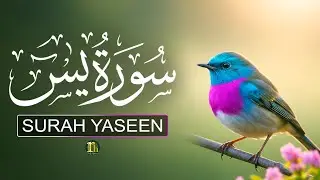 Surah Yasin سورۃ یس (Yaseen) Full | Beautiful Voice Ever Quran Recitation That Touches The Heart