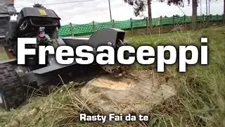 Rimuovere il ceppo con la Fresaceppi