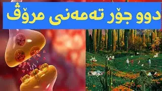 دوو جۆر تەمەنی مرۆڤ(تەمەنی بایۆلۆجی و تەمەنی فیکری )..