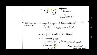 Pubertà - pediatria (auxologia)