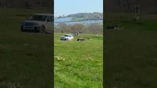 Newnham x country hunter trial 60cm pairs. 6th out of 22. 09/04/17