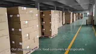 disposable plastic container,biodegradable plastic container,bagasse tableware,Price,China Supplier