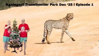 Kgalagadi Transfrontier Park - Dec 2025 II Episode 1