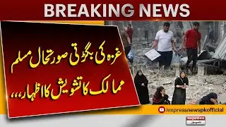 Muslim Countries Express Deep Concern Over Gaza Humanitarian Crisis | Breaking News | Pakistan News