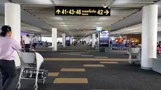 Thousands of Flights Cancelled Across USA | Travel Chaos Explained
