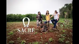 Sacbe &middot; rutas de origen