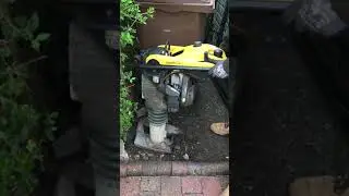 Wacker Neuson BS50-2i