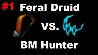 [ 5.0.5 ] Feral Druid Vs Beast Master Hunter Dueling Series #1 Ft. (Meganuts100)