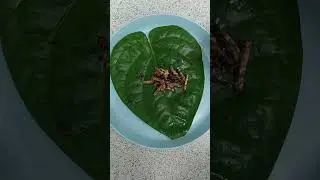 Who likes to eat betel nut? #food #portugal #betel #supari #supari_ #jarda
