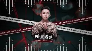 Secretly Fascinated 暗里着迷 2021 (ARS Remix)