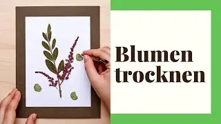 Blumen trocknen - Methoden mit Erfolgsgarantie