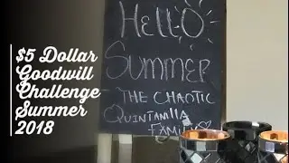 $5 Dollar Goodwill Challenge | SUMMER 2019
