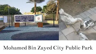 Mohamed bin Zayed City Park | MBZ Park | Barbeque & Kids Play Area