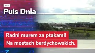 Radni i Eksperci Apelują: Mosty Berdychowskie Zagrożeniem dla Ptak&oacute;w!