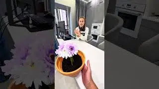 Wow!😱cat mode flower very wow🌷💕