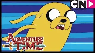 O Que Vocês Fizeram? | Hora de Aventura Brasil | Cartoon Network