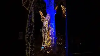 Christmas in Cernobbio, Como
