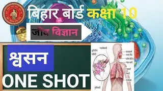 बिहार बोर्ड कक्षा 10 जीव विज्ञान Chapter 2 ONE SHOT|| Target with Success 