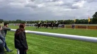Pferde in Zeitlupe , horses in slow motion 2015