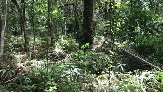 Polygon siskiu n9 vs specialized enduro