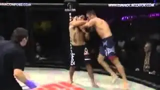 Bellator MMA_ Daniel Morales vs. Lorenzo Borgomeo (Part 2).mp4