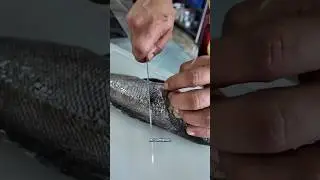 &iexcl;Hoy un delicioso sudado de Cabrilla!
