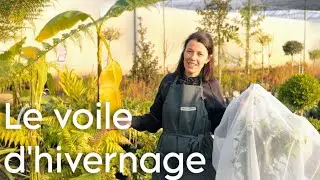 Comment PROT&Eacute;GER vos PLANTES EN HIVER : LE VOILE D'HIVERNAGE