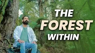 Find The Forest Within: A Deep Calming Meditation | DAY 194