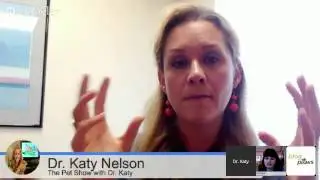 BlogPaws Live 365:13 - How to be media ready as a blogger and get the media to notice you