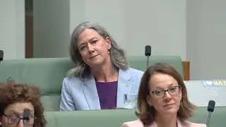When will Aussies get more detail about how the US-AUS critical minerals deal will work for them?