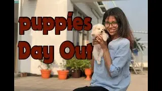 Puppy&rsquo;s Day Out | Train My Simba | Day 3 | Bangladesh Puppy Vlog