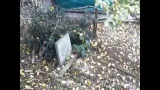 Tri bora zelena - klapa KAŠTELET - Tučepi