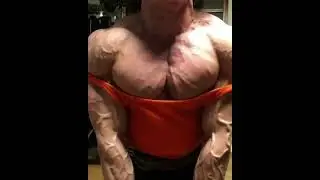 Jojo flex pec - FBB
