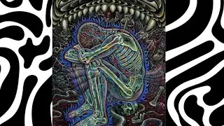 The Night I Lost my Grip on Reality- Trip Report