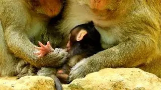 SERIOUS CATCHING...HELP ME MUM !! PITY BABY BRITTANY DEEPLY HURT COS TANA DO WRONG ACT.