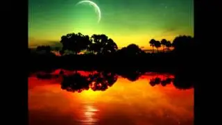 DJ TomiP     :     The Future Of The Planet