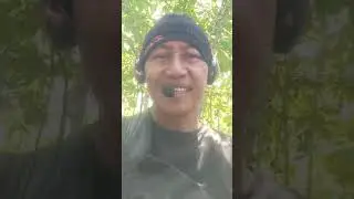 Menyesal simoh ora