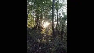 SG - Energy