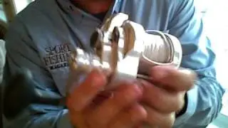 Accurate Fishing Reels, new model description with Accurate Reel's, Ben Seacrest